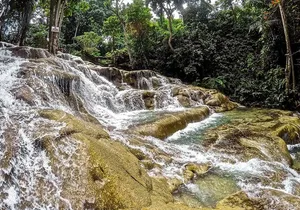Blue Hole and Dunn River Falls Tour