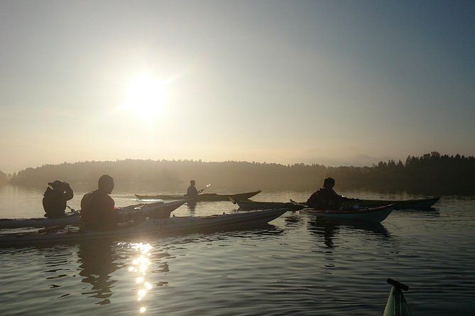 Hidden Gems of the Archipelago Sea: Three Day Guided Kayaking