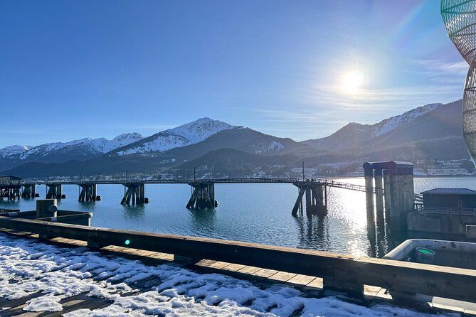 Mendenhall Glacier & Juneau Highlights Small Group Tour