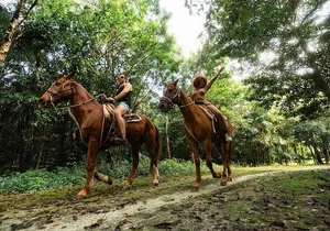 Experience ATV, Ziplines, Cenote and Horses Ride in Cancún