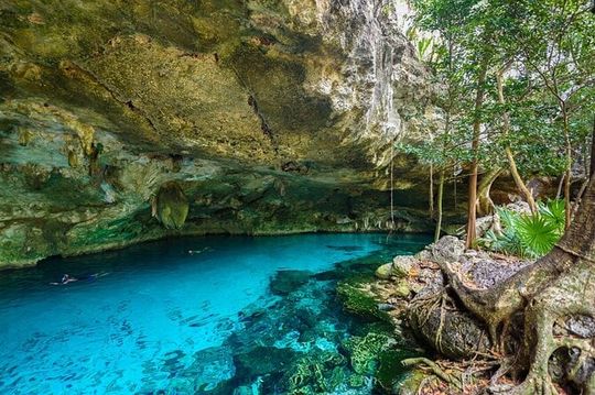 Explore Tulum Ruins and Cenote Jungle Adventure from Cancún