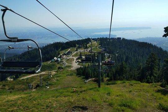 Vancouver Day Trip | Grouse Mountain & Capilano Suspension Bridge Private