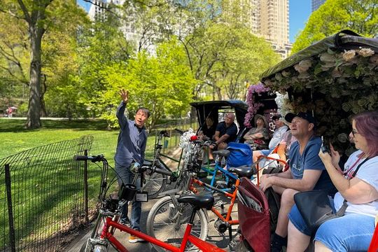 Central Park Pedicab Guided Tours with Theater