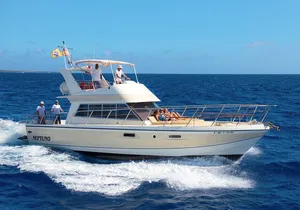 Discover whales in Tenerife: yacht tour with bath and lunch