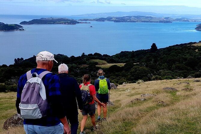 5 Day Waiheke Self-guided Walk-Hosted by Chef & Local of 30 Years