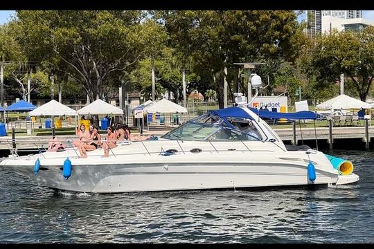 45ft + FREE HOUR Miami Yacht Rental 3 to 6 Hours 13 People