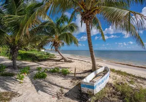 Puerto Morelos and Cenote with Snorkeling Tour from Cancun