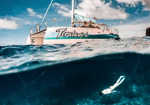 Maui: Kaanapali Beach 5-hour Snorkel w/ BBQ Lunch & Open Bar