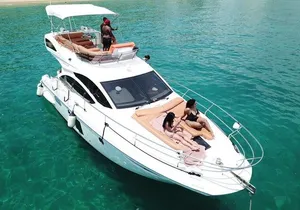 Cabo Snorkeling Private Whale Watching Tours