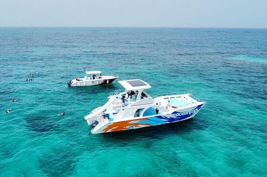 Miami Triple combo: City, Boat and Everglades tour (2 days)