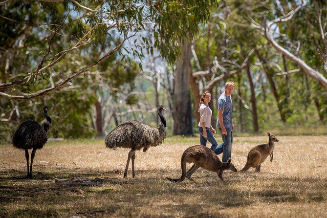 Adelaide Gems Tour-Inspired by Phil Rosenthal's Netflix Odyssey