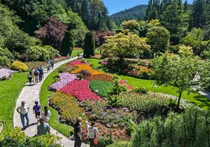 Capilano Canyon Fright lights-Salmon Hatchery+ 3 highlights