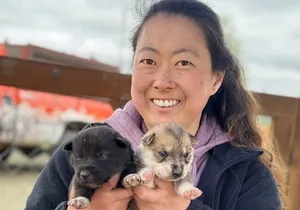 Anchorage's Authentic Dog Sledding Experience