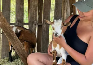 Cuddle & Feed Baby Goats Experience on Big Island Farm