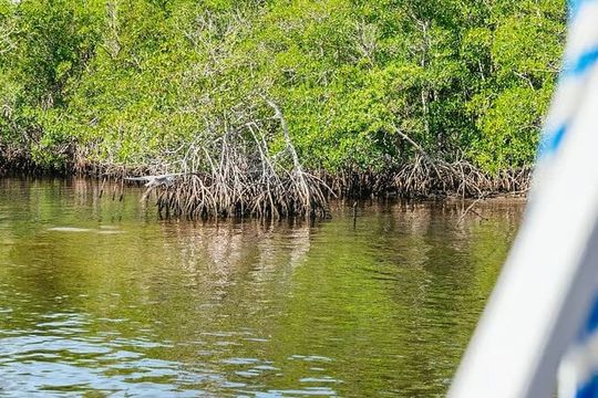 2 Hour Wildlife Adventure