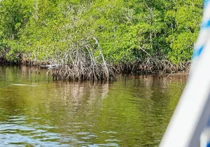 2 Hour Wildlife Adventure