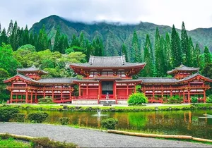 Scenic half day Circle Island tour