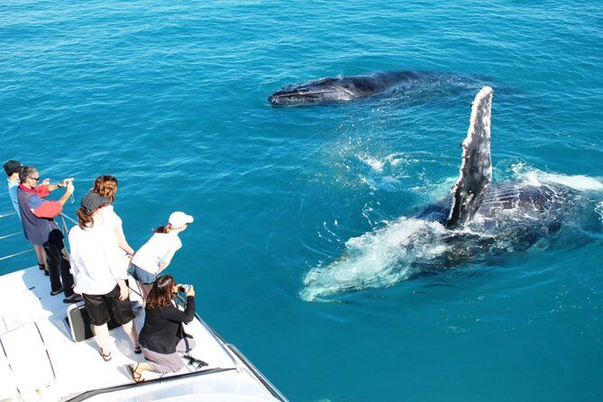 A Private Cruise to Isla Mujeres with Music and Drinks