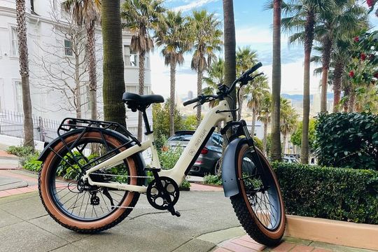 Guided E Bike Tour in San Francisco