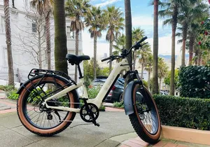 Guided E Bike Tour in San Francisco