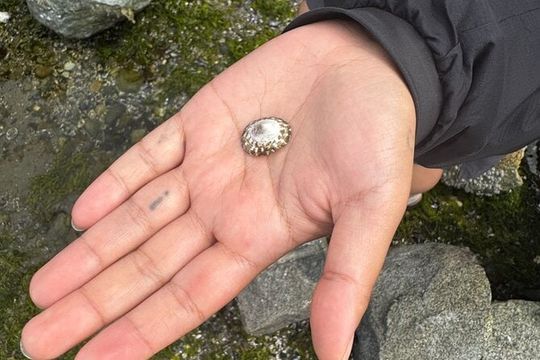 Stanley Park Indigenous Walking Tour Salish Sea and Me