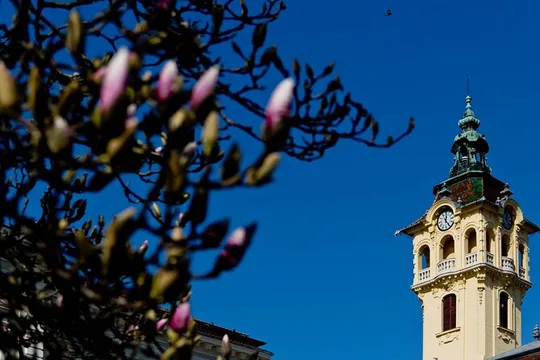 City Walks in Szeged