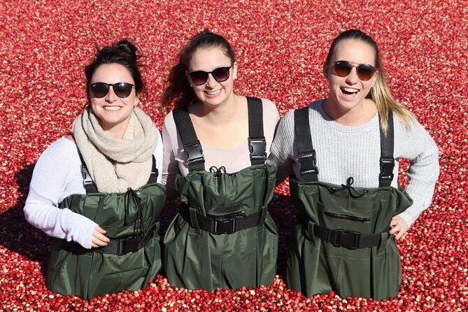 From Toronto: Cranberry Plunge and Hardy Lake Hike Adventure
