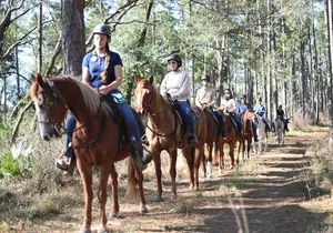 Guided Two Hour Horseback Trail Ride in Central Florida