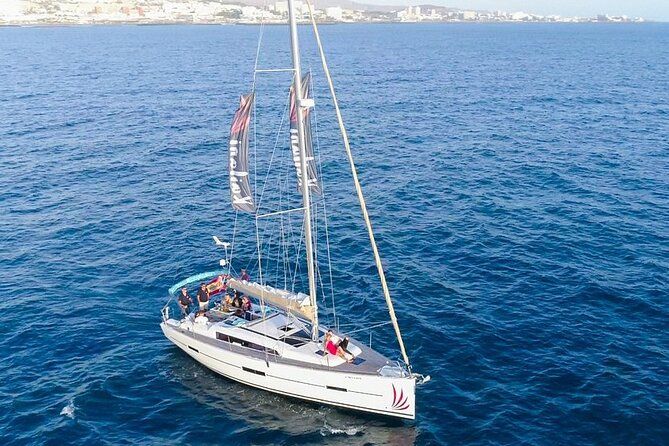 3-hour whale watching on a luxury sailboat in Costa Adeje