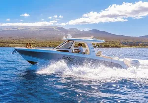 Maui Luxury Boston Whaler Private Charter for up to 6 Passengers