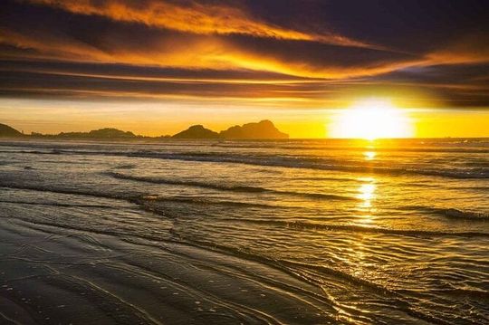 7 Day Guided Small Group Tour On Vancouver Island’s West Coast