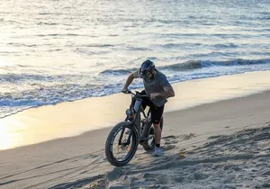 Baja Desert and Beach Electric Bike Adventure with Buffet