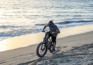 Baja Desert and Beach Electric Bike Adventure with Buffet