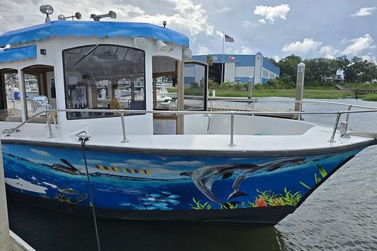 Dancin' Dolphin: 90-minute Booze Cruise (Up to 12 guests)
