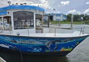 Dancin' Dolphin: 90-minute Booze Cruise (Up to 12 guests)