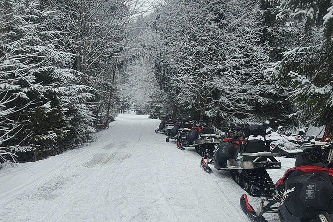 From Bucharest: ATV Quad Bike or Snowmobile Tour in the Mountains