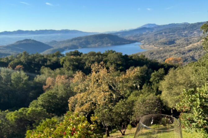 Napa Wine Tours