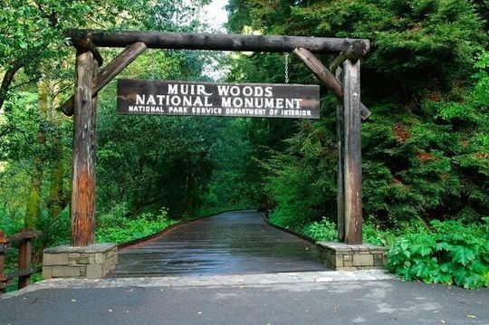 Visit Muir Woods + Bike The Golden Gate Bridge