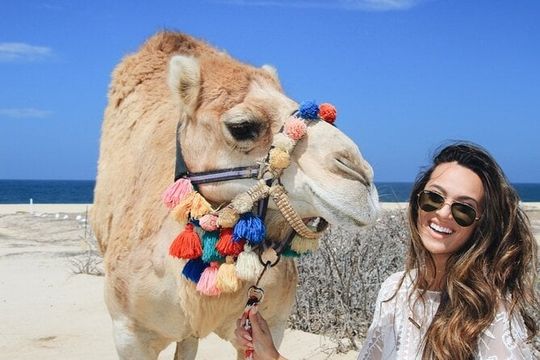 Cabo Camel Ride: Beach Safari, Tequila Tasting & Buffet