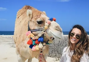 Cabo Camel Ride: Beach Safari, Tequila Tasting & Buffet