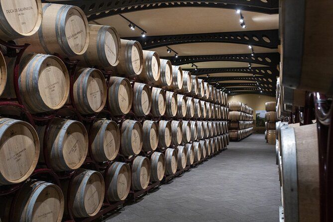 Guided tour and tasting at Duca di Salaparuta Winery