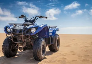 ATV Desert Adventure in Baja California Sur with Tequila Tasting