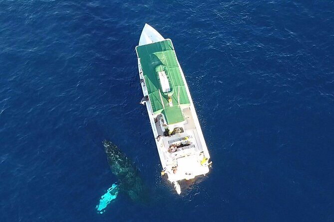Private Charter Sanity Vessel Tour Off Kaanapali Beach to Lanai