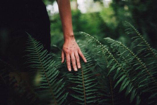 Love the Land Indigenous Walking Tour Capilano River Hatchery