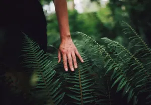 Love the Land Indigenous Walking Tour Capilano River Hatchery