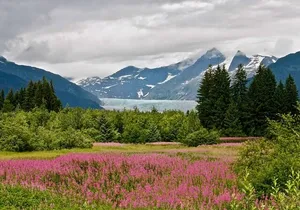 Juneau Private Sightseeing Tour with a Local