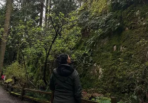 Whytecliff Park Indigenous Salish Sea Walking Tour