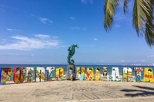 Explore Puerto Vallarta and Tequila Tasting