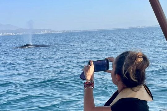 Whale Watching Experience in Puerto Vallarta