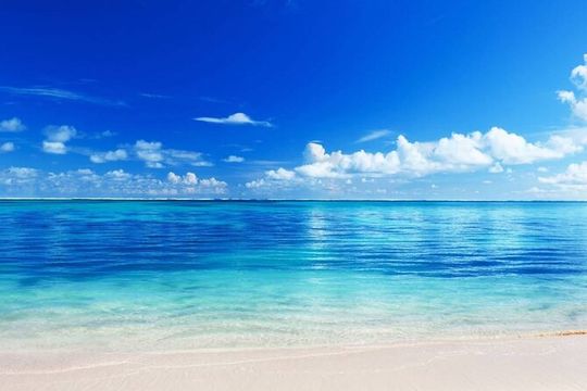 El cielo Cozumel From Cancún and round Transfer with Lunch